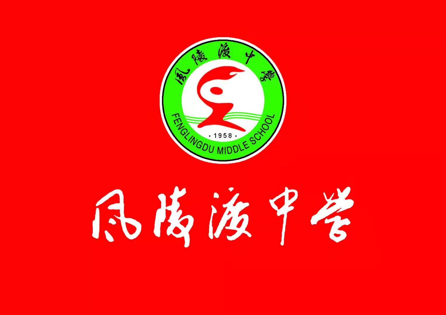 图片3.jpg 图片3.jpg